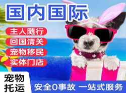 保山云瑞国际宠物托运 【国